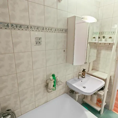 Magnifique appartement à côté des remontées mécaniques Appartement