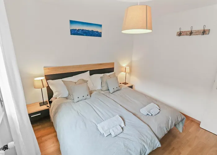 Magnifique à Côté Des Remontées Mécaniques Appartement